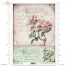 oleander, oleandry, kwiat, ogród, lato, stary dokument, R986, oleander, flower, garden, summer, old documentary, Oleander, Blume, Garten, Sommer, altes Dokument, adelfa, flor, jardín, verano, documental antiguo